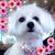 Greg Barbara Estep's profile image