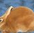 Pam Brickner's profile image