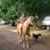 Deborah Stewart's profile image