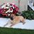 Patsy Ann Schreiber's profile image