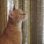 Celeste Kotarski's profile image