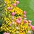 Belinda Clayton's profile image