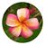 Stephanie Tasson Mayer's profile image