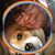 Milissa Morales's profile image