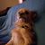 Beth Vandiver's profile image