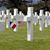 Laurie Carbine Gibney's profile image
