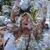 Pam Shakofsky's profile image