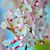 Donna Oettle Melroy's profile image