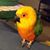 Leitha Monice's profile image