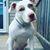 Kary Roerink's profile image