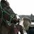 Kimmie Marier's profile image