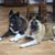 Kim Strouse's profile image