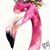 Darlene Cuthie Meyers's profile image