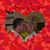 PaulaDale Wagar's profile image