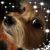 Brandi L Tweedle's profile image