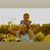 George Ortiz Jr's profile image