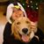 KoryandLori Overholser's profile image