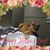 Yvonne Day's profile image