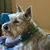 Heidi Jordan's profile image