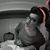 Missy Cintron's profile image