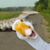 Scott Murphree's profile image