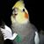 Michael Gofberg's profile image