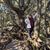 Ashley Rose Sandage's profile image