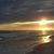 Diane Geis's profile image