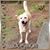 Kim Meyer's profile image