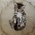 Janet Rennecker's profile image