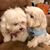 Melissa Anne Hutcherson McNear's profile image