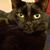 Jenny Miller's profile image