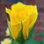 Terri Brown's profile image