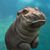 Mary Alice Rowe's profile image