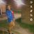 Evelyn Velasquez's profile image