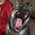 Kathryn Dodd's profile image