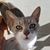 Sherri Copeland Jones's profile image