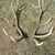 Scott Medlock's profile image