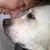 Bonnie A. Kakos's profile image
