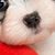 Cecilia Hoyos's profile image