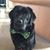 Kim Daulton McDevitt's profile image