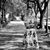 Michelle Wertan's profile image