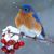 Dyniece Rocchio's profile image