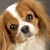 Rachna Prasad's profile image