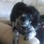 Karen Sorensen's profile image