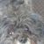 Gloria Bilski's profile image