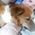 Diane Mohney's profile image