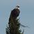 Randy Stender's profile image