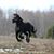 Susan Zenker's profile image