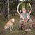 Herb Young's profile image
